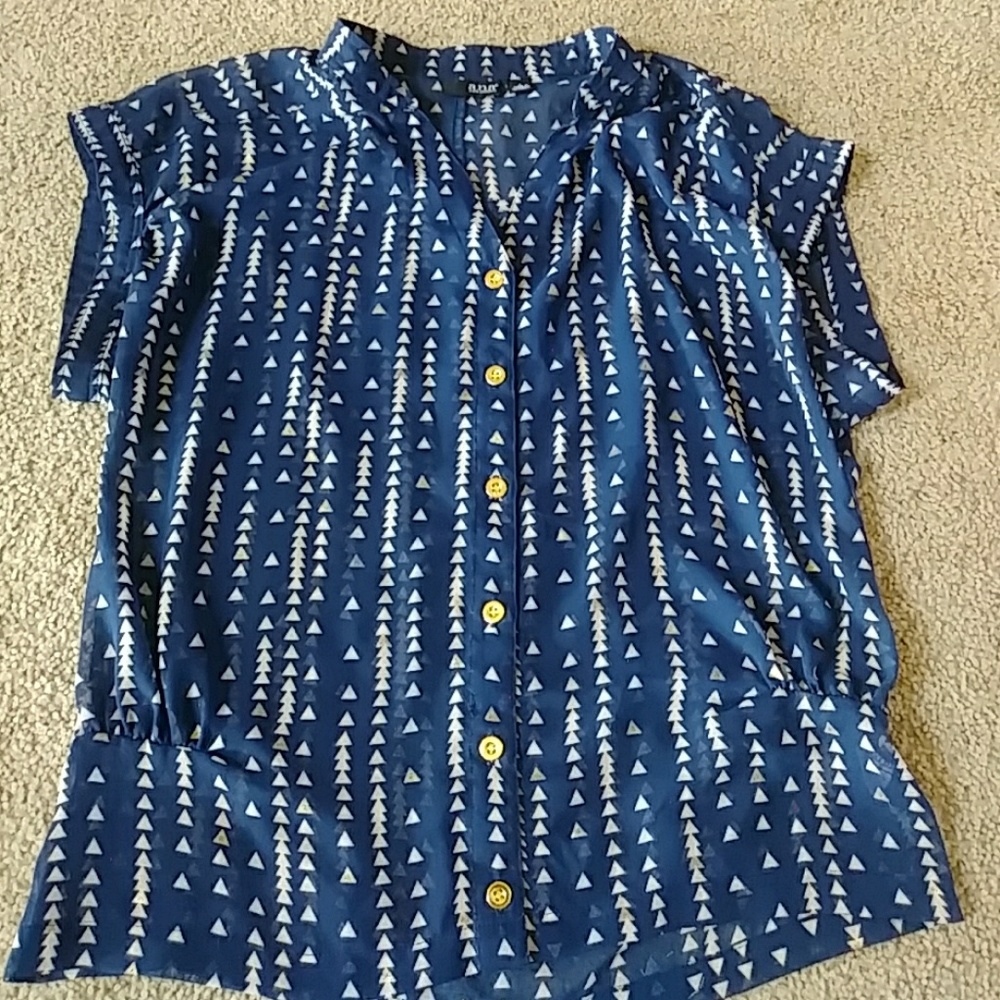 Ana shear blouse